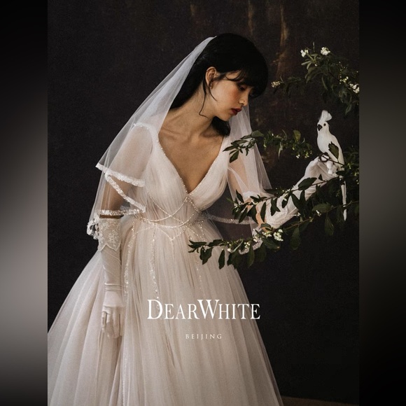 Veil - Picture 2 of 3